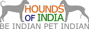 Hounds of India Be Indian Pet Indian