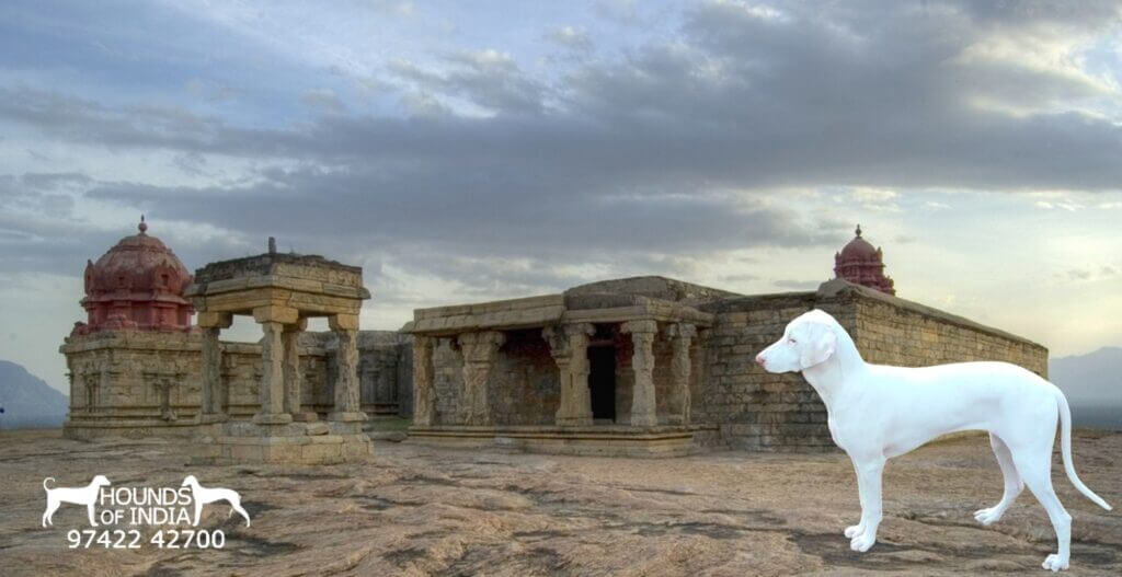 Dindigul Rock Fort