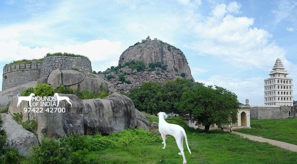 Gingee Fort Villupuram