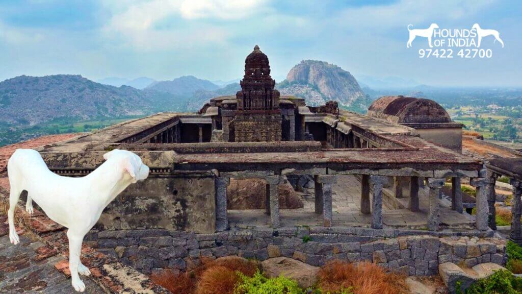 Krishnagiri Fort