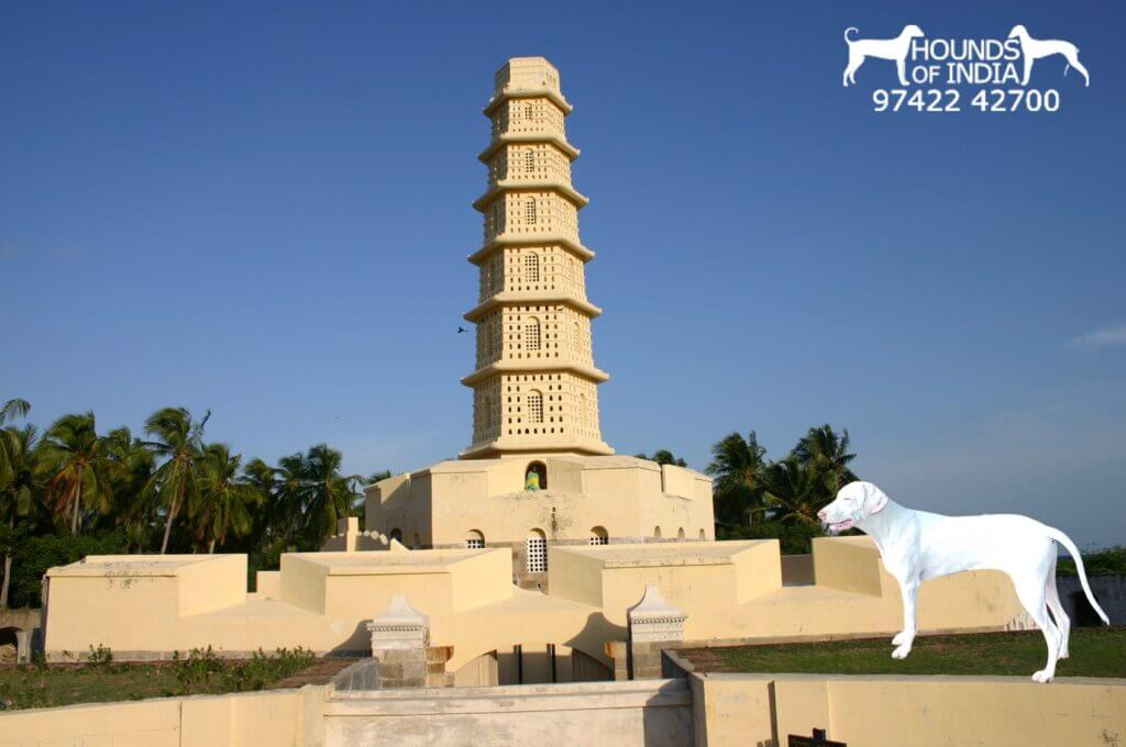 Manora Fort Thanjavur