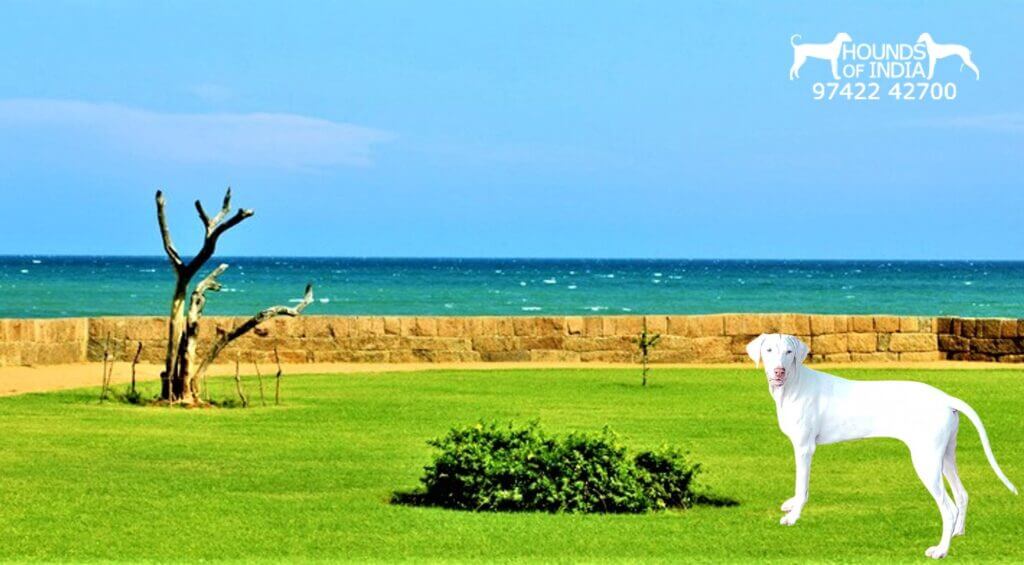 Seaside Vattakottai Fort Kanyakumari