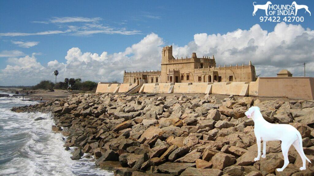 Tarangambadi Fort