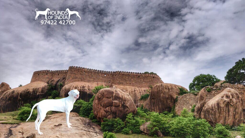 Thirumayam Fort Pudukkottai