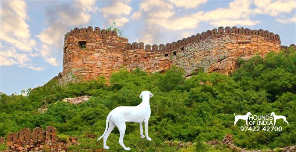 Udaygiri Fort Kanyakumari