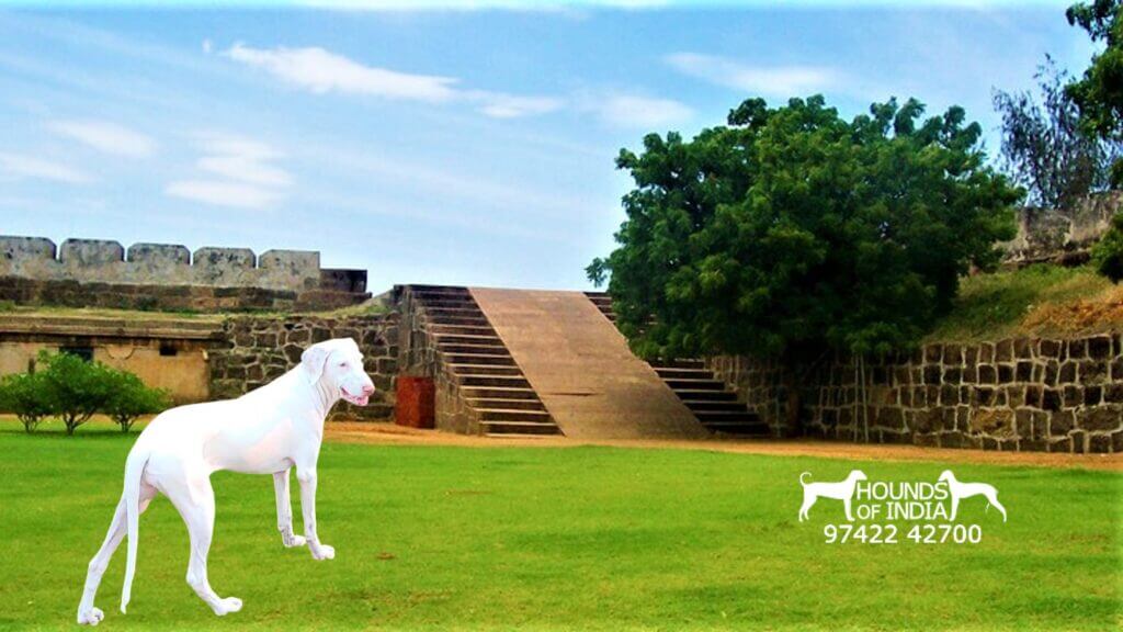 Vattakottai Fort Kanyakumari